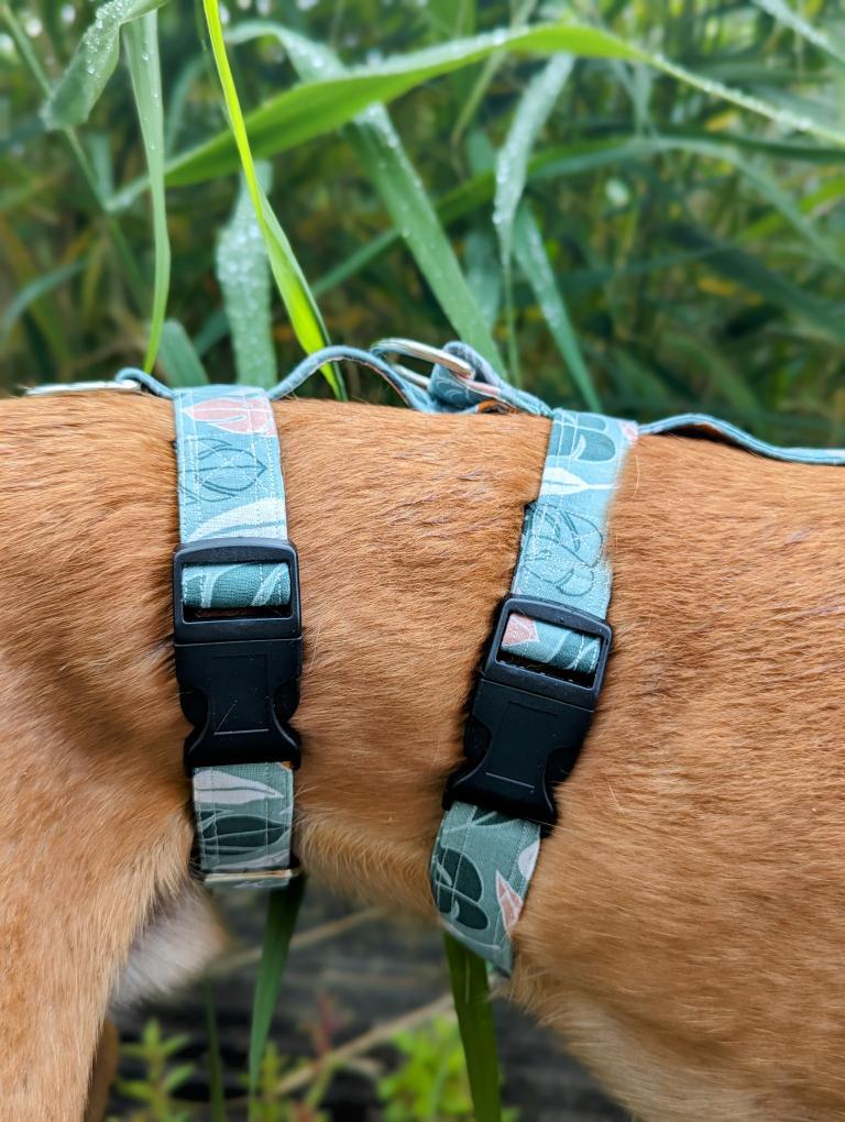 Harness | Gingham Mix