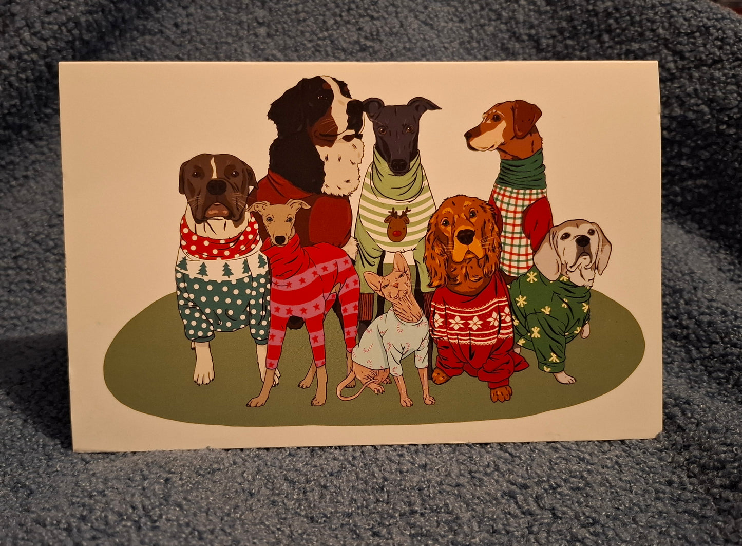 Christmas Cards | Christmas Jumpers