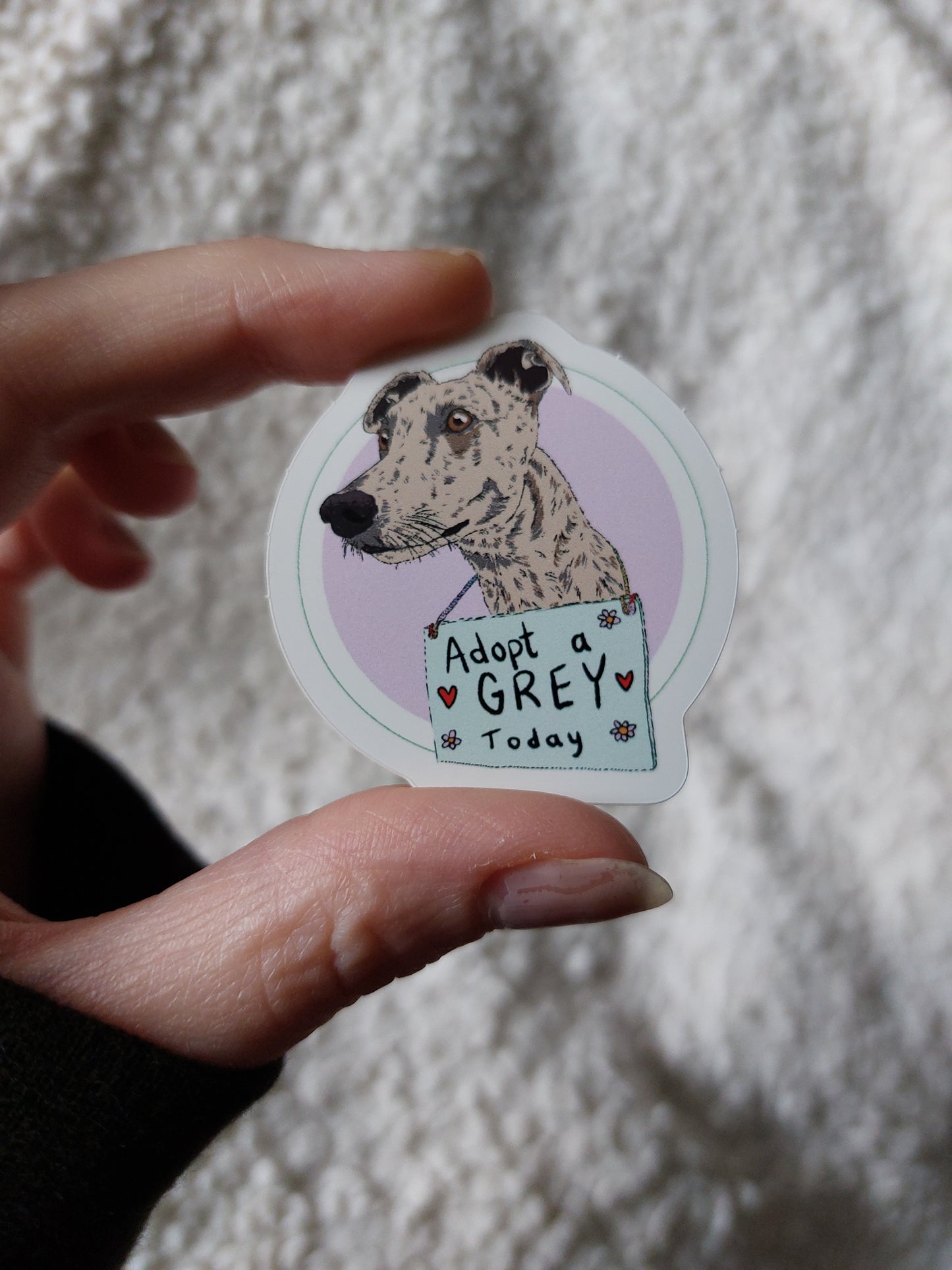 Sticker | Adopt A Grey