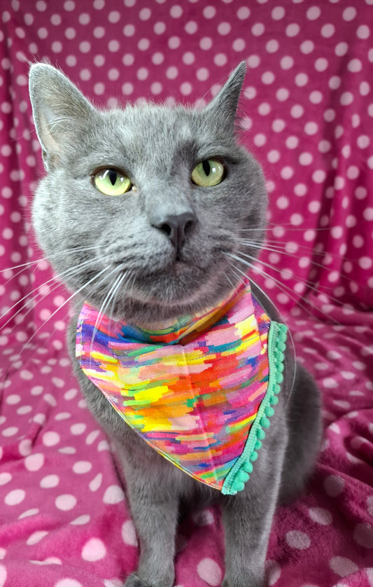 Brushstrokes | Pet Bandana