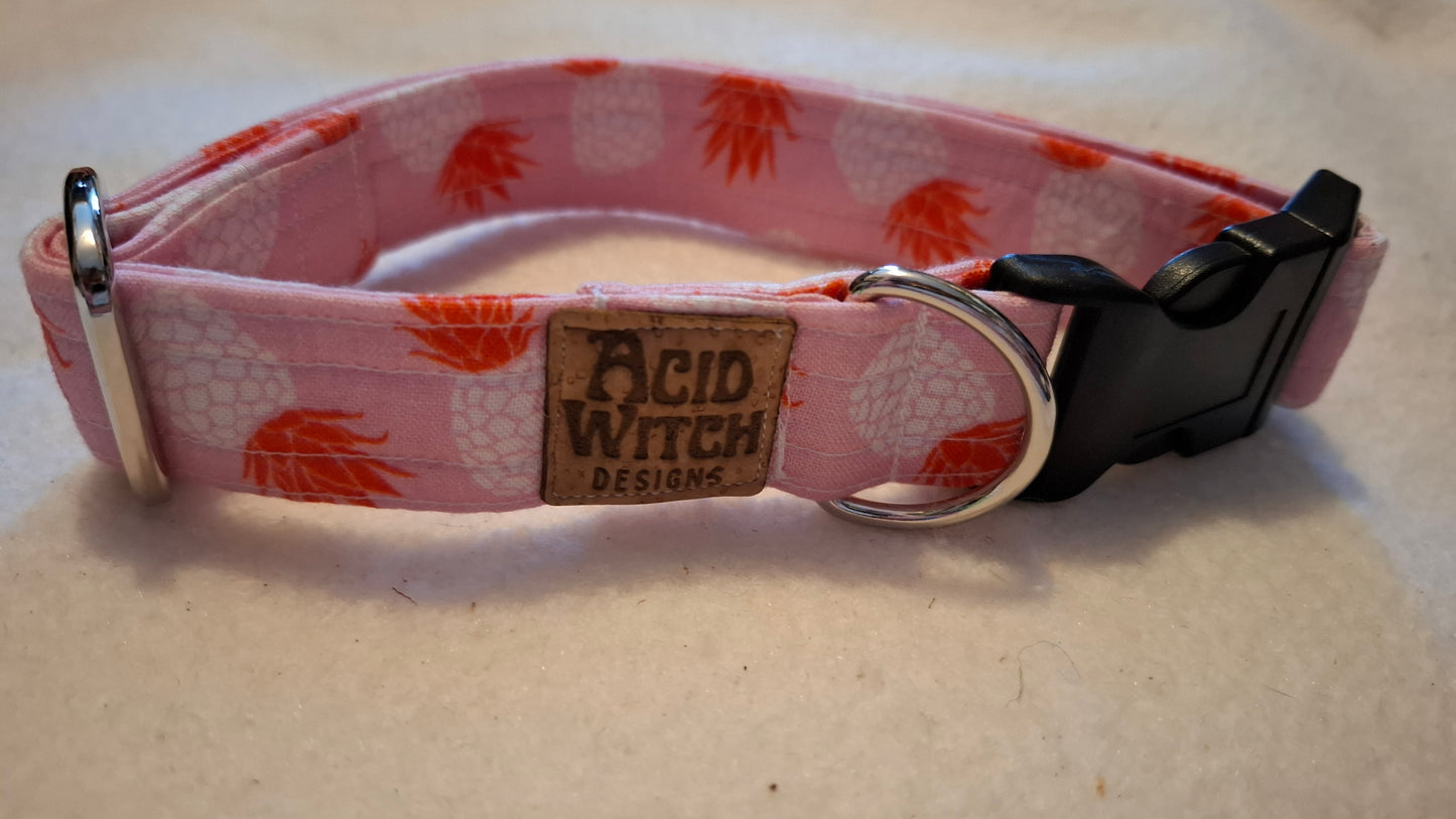 Large Dog Collars | Sale