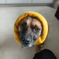 Dog Snood | Fireworks