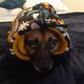 Dog Snood | Fireworks