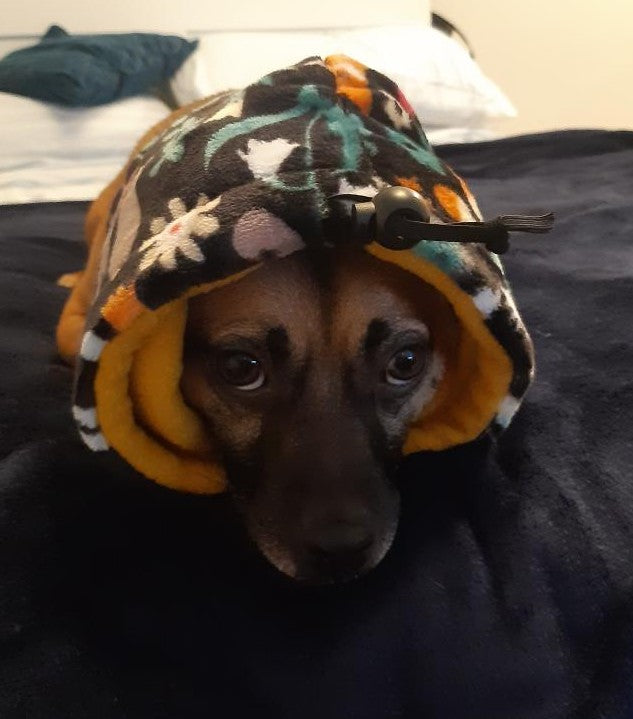 Dog Snood | Fireworks
