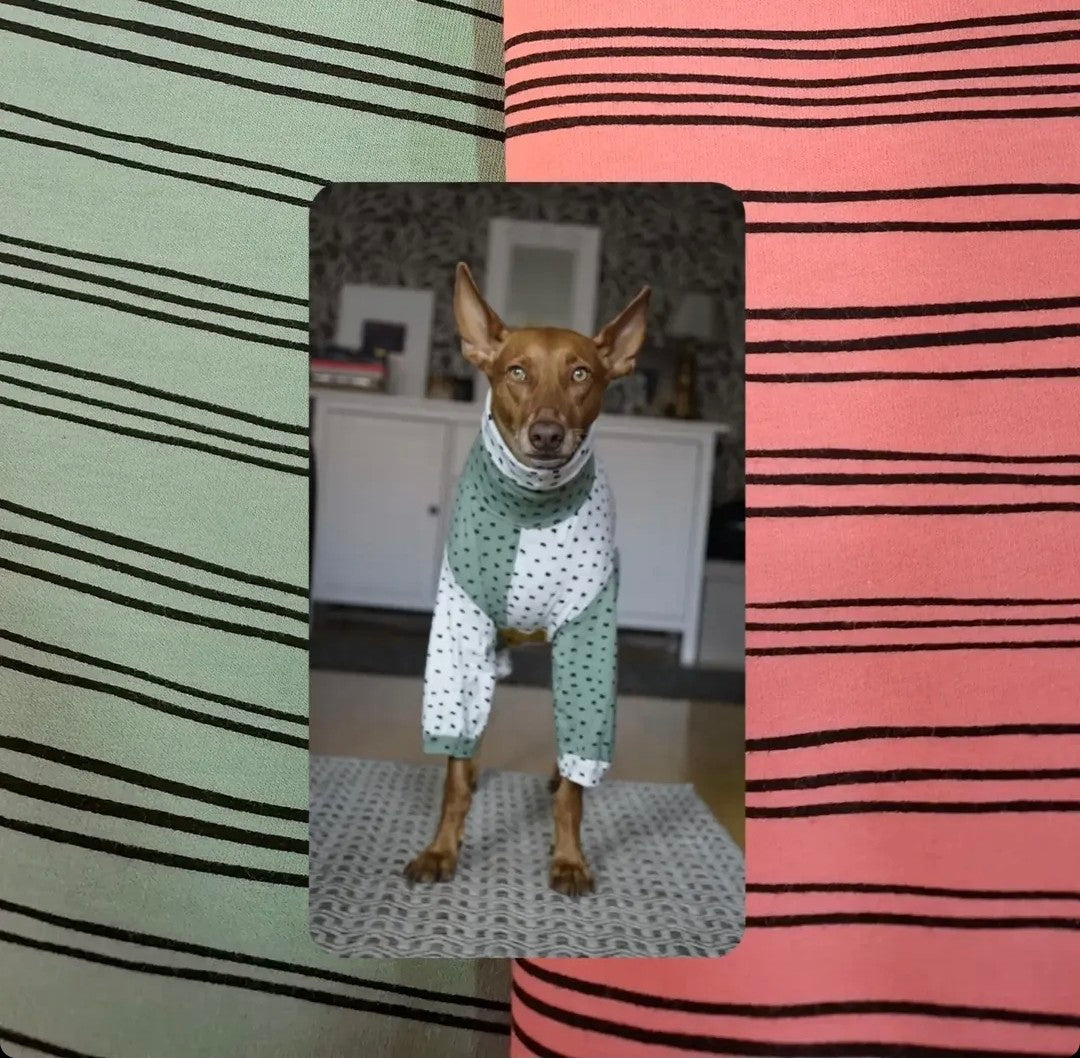 Sage & Rose | PJs & Tee