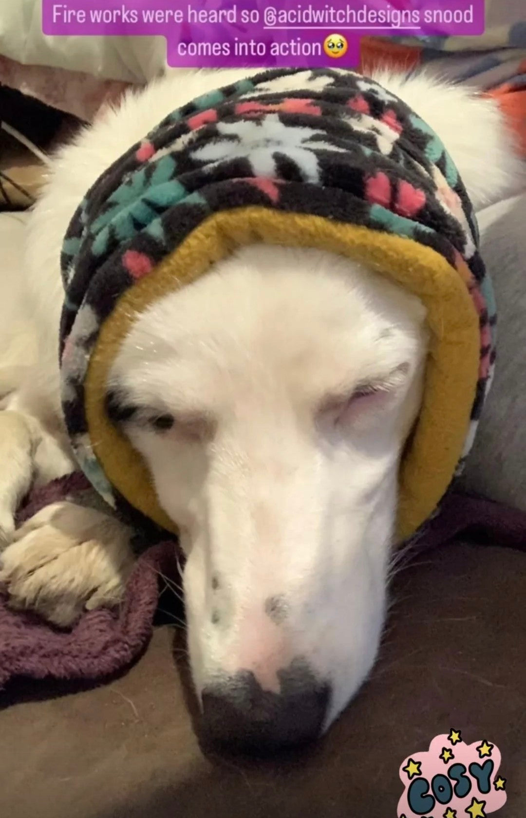 Dog Snood | Fireworks