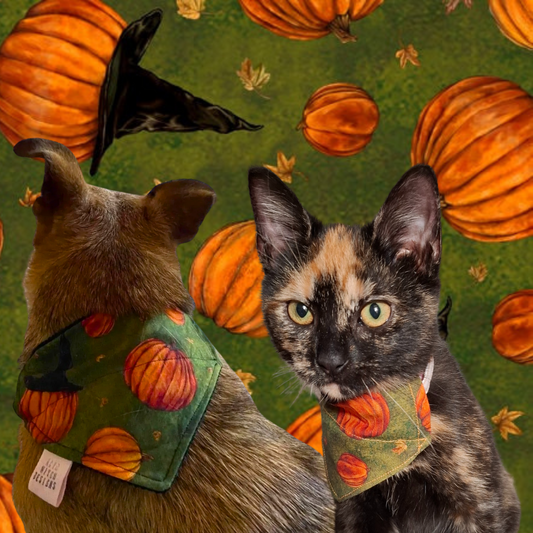 Bandana | Vintage Pumpkin