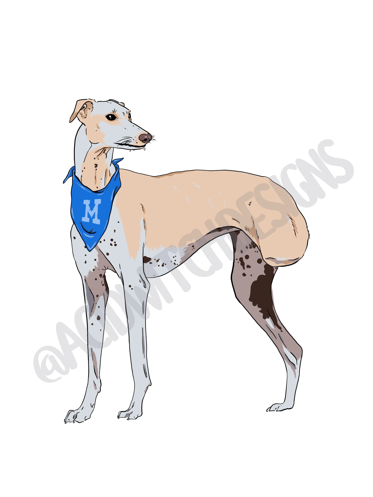 Pet Portrait | Hounds