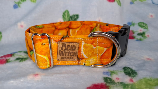 Pet Collars | Oranges