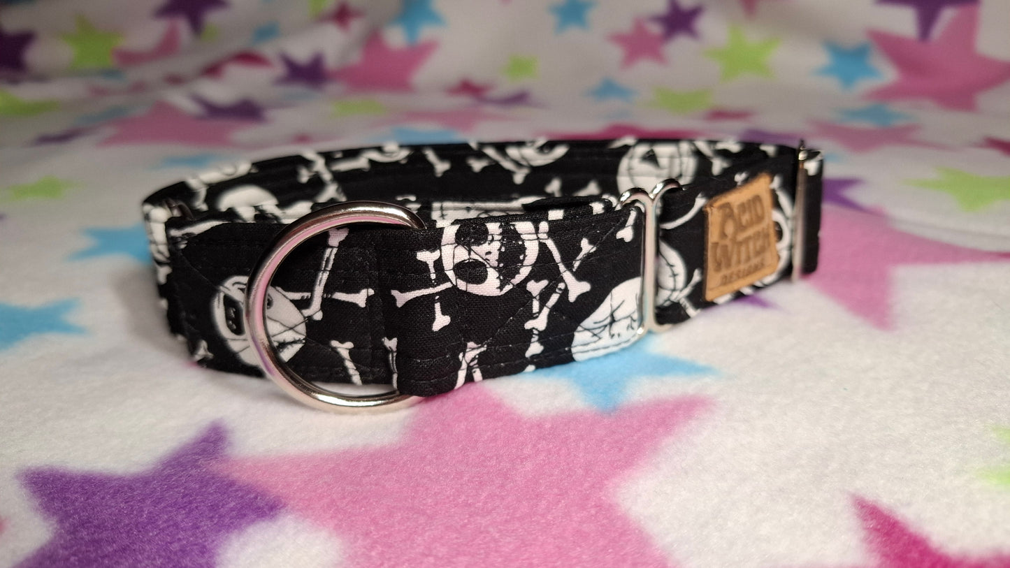 Jack | Pet Collection