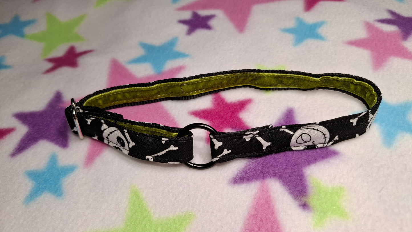 Jack | Pet Collection