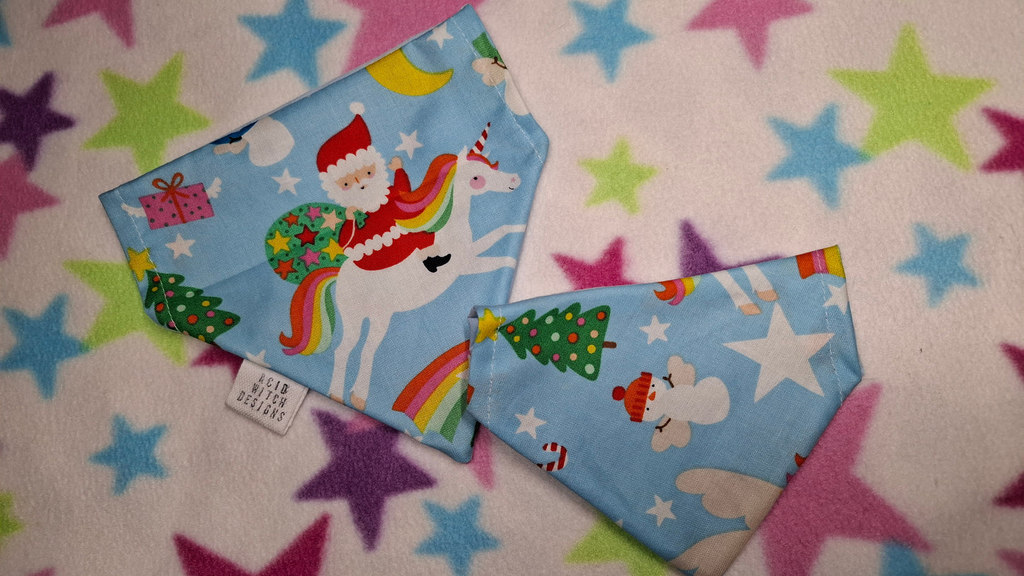 Festive Spirit | Pet Collection