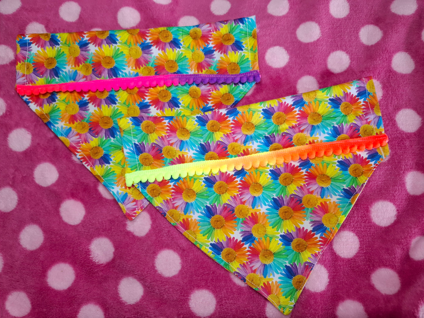 Gaysies | Pet Bandana