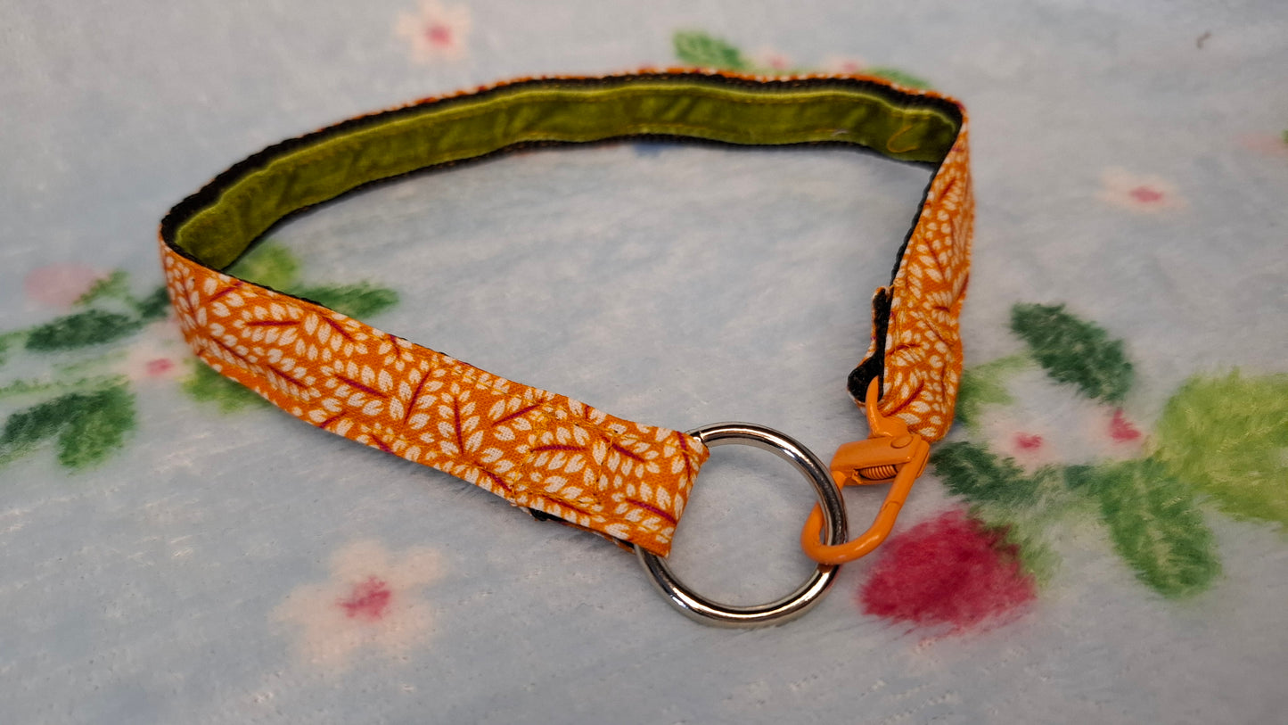 House Collar | Tangerine