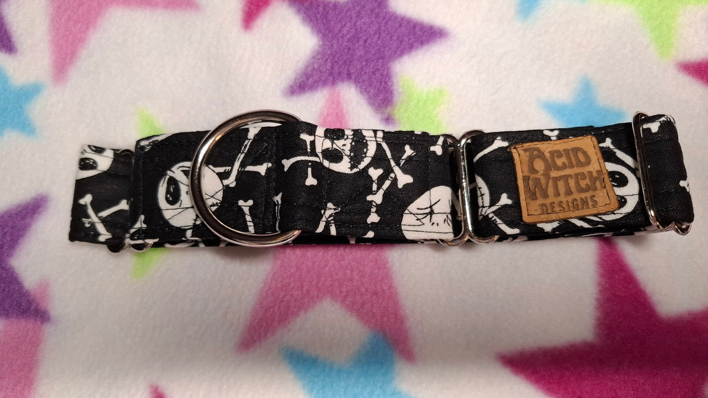 Jack | Pet Collection