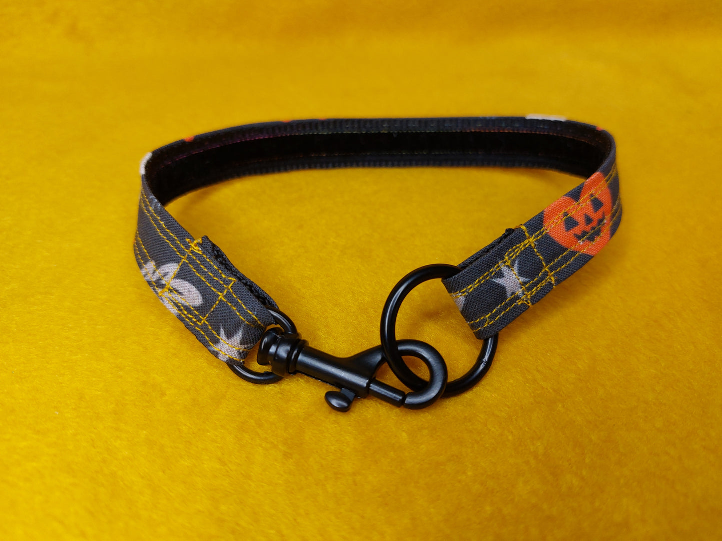 House Collar | Halloween Minis