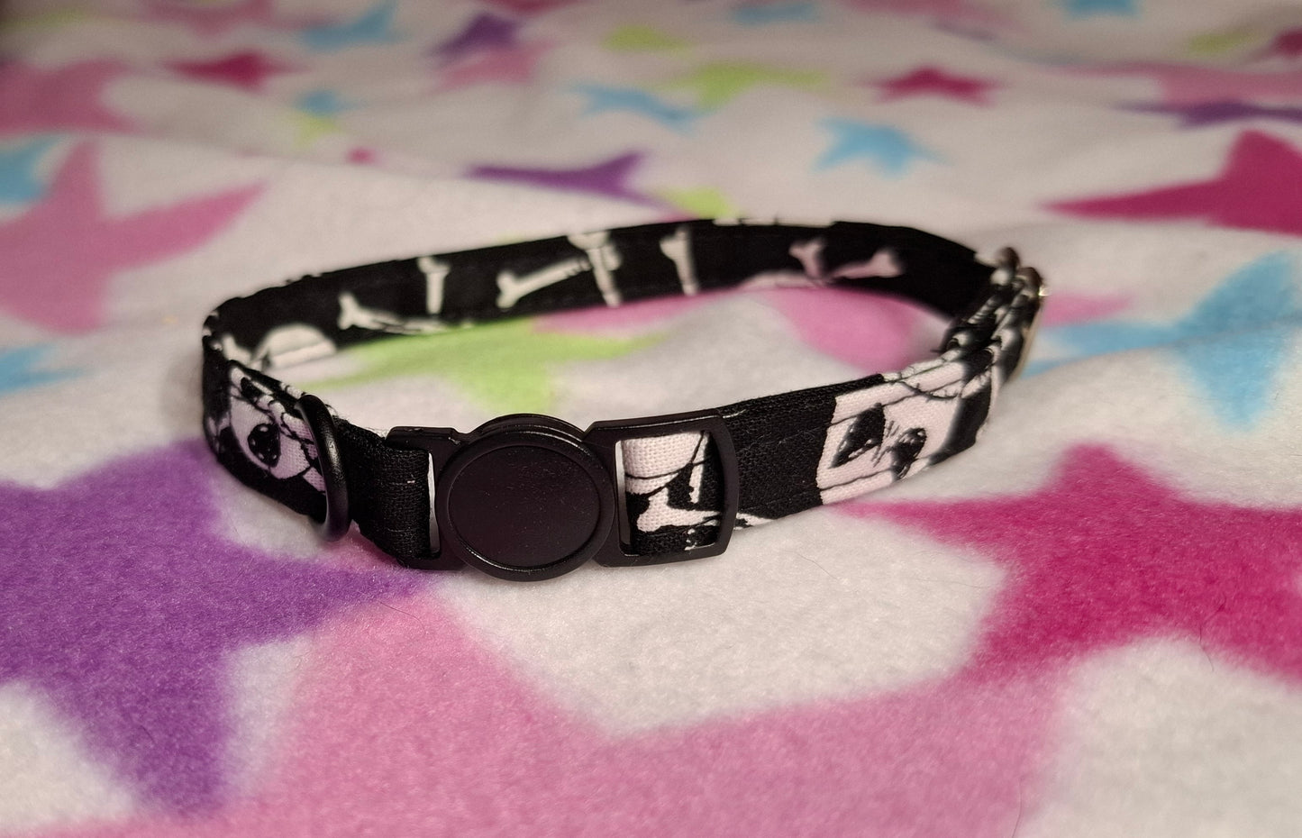 Jack | Pet Collection