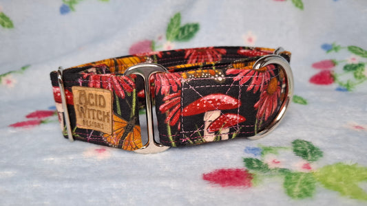 Pet Collars | Flora