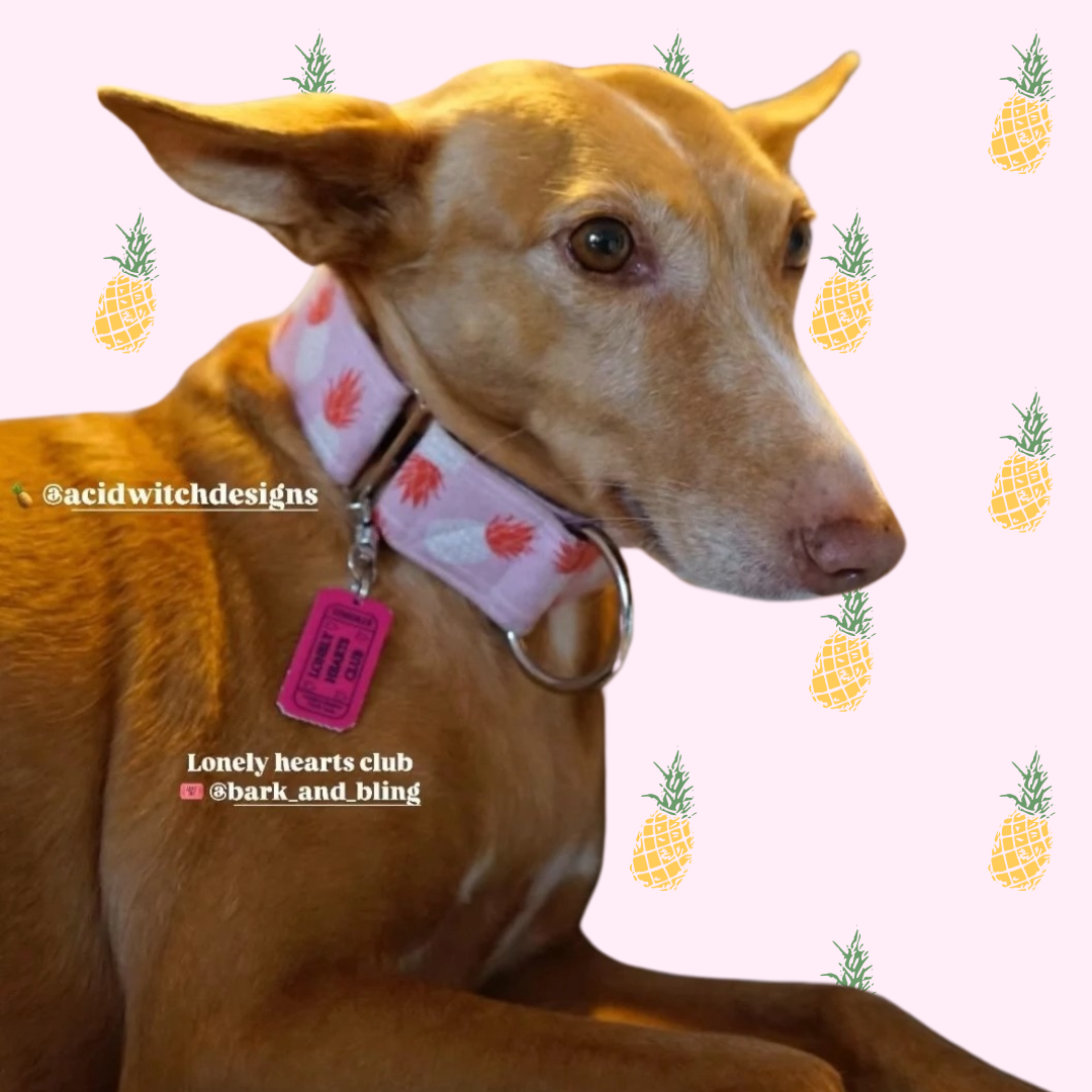 Pet Collars | Green Pineapple