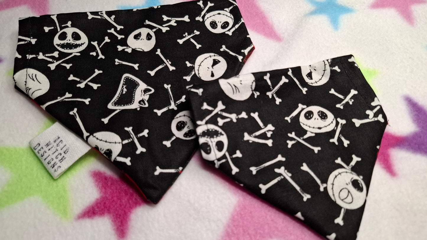 Jack | Pet Collection