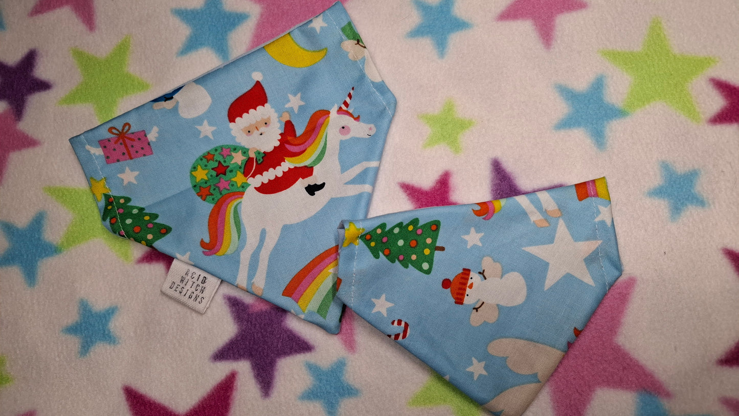 Festive Spirit | Pet Collection