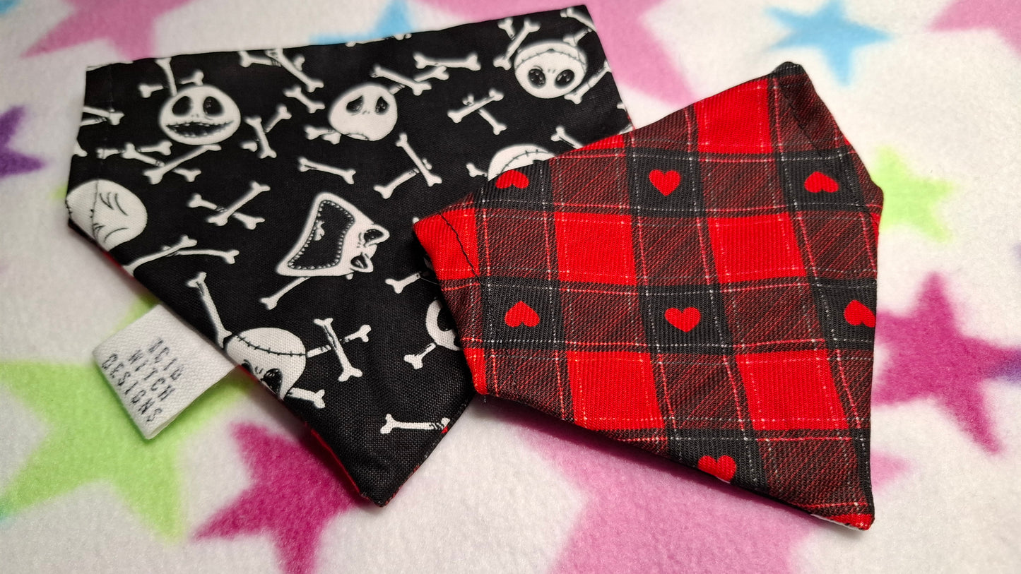 Jack | Pet Collection