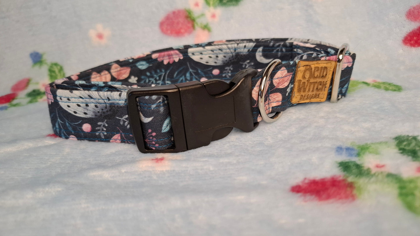 Dog Collar | Moon Moth