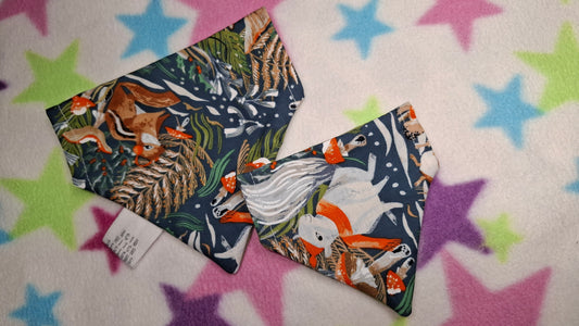 Folklore Christmas | Pet Collection