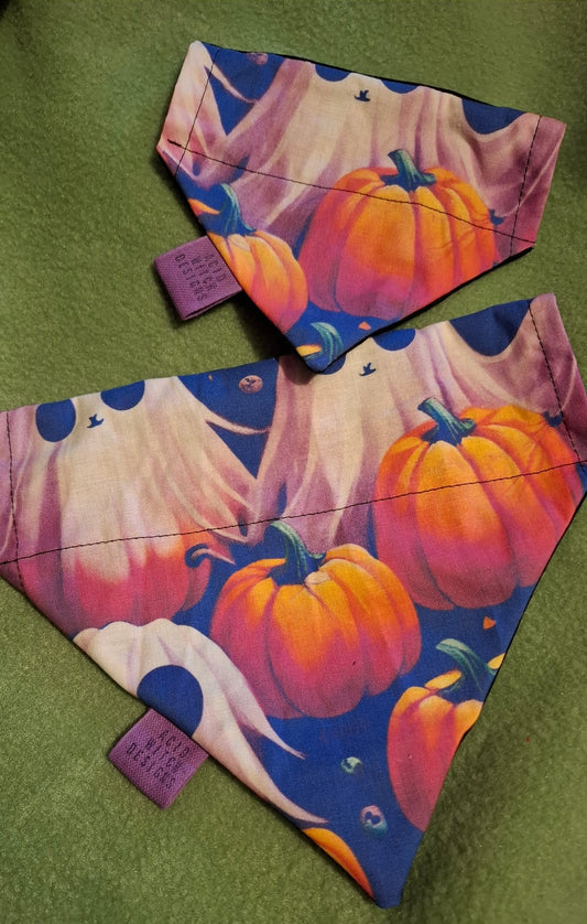 Boo! Pumpkins | Pet Collection