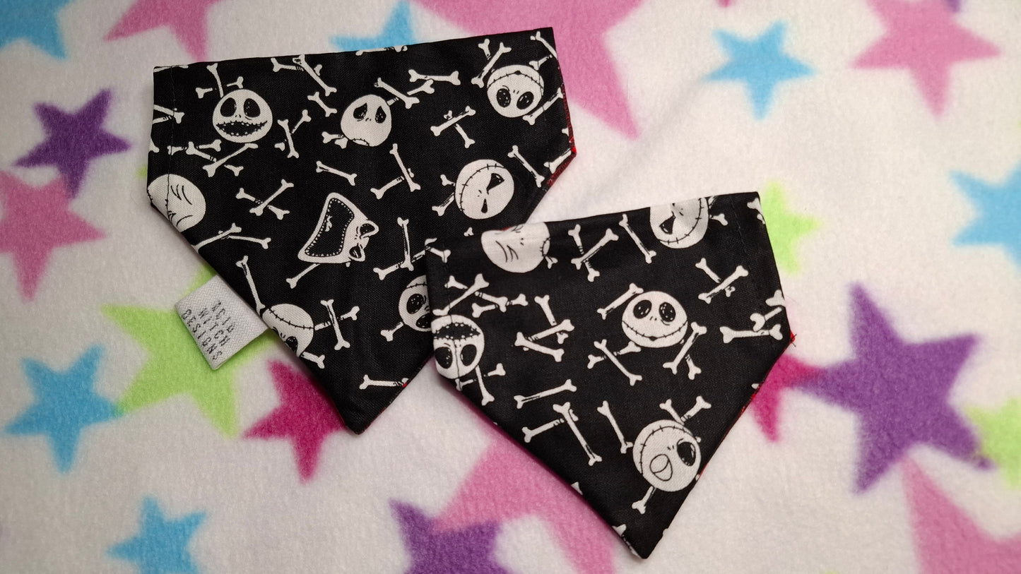 Jack | Pet Collection