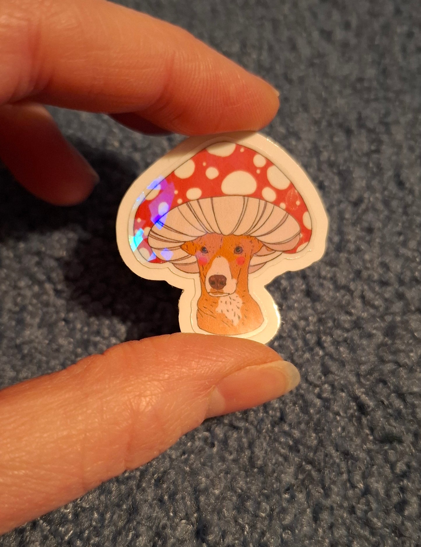 Sticker | Mushy Hound Holo