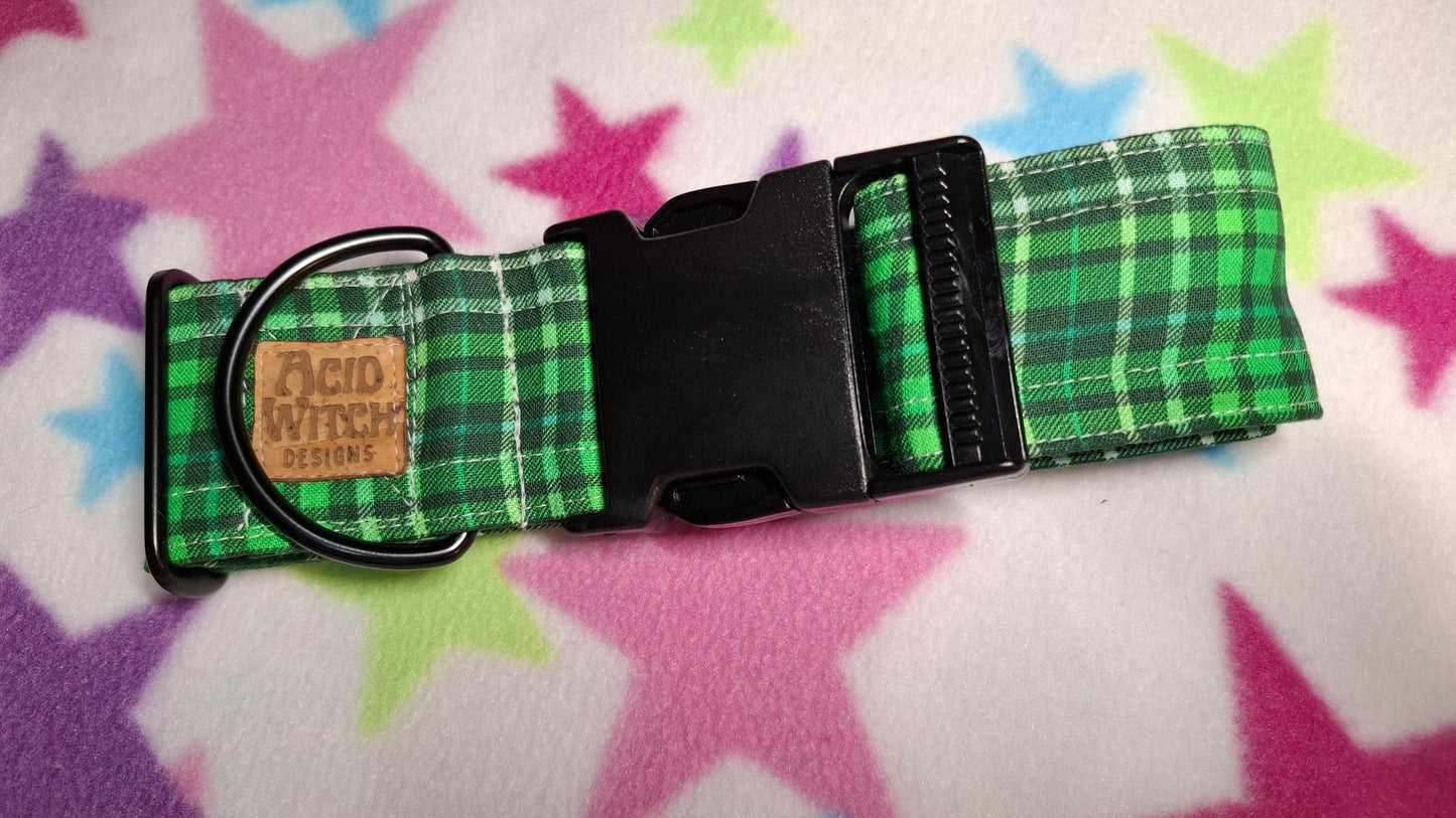 Green with Cheer | Pet Collection