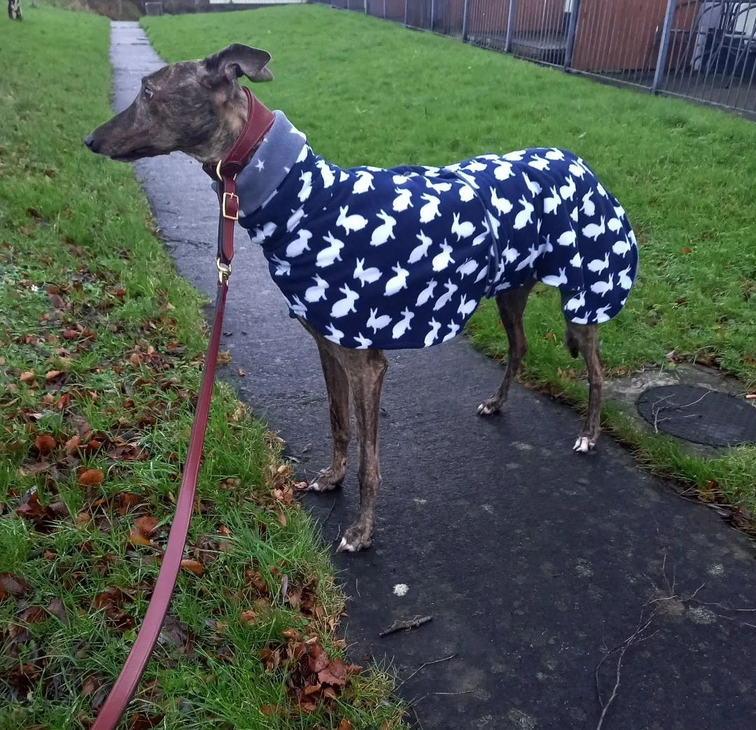 Discount | Fleece Sweater & Coat