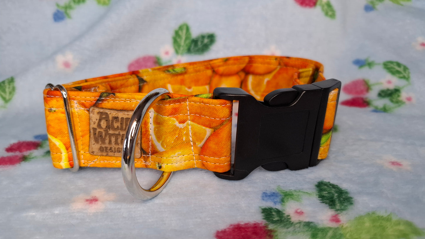 Pet Collars | Oranges