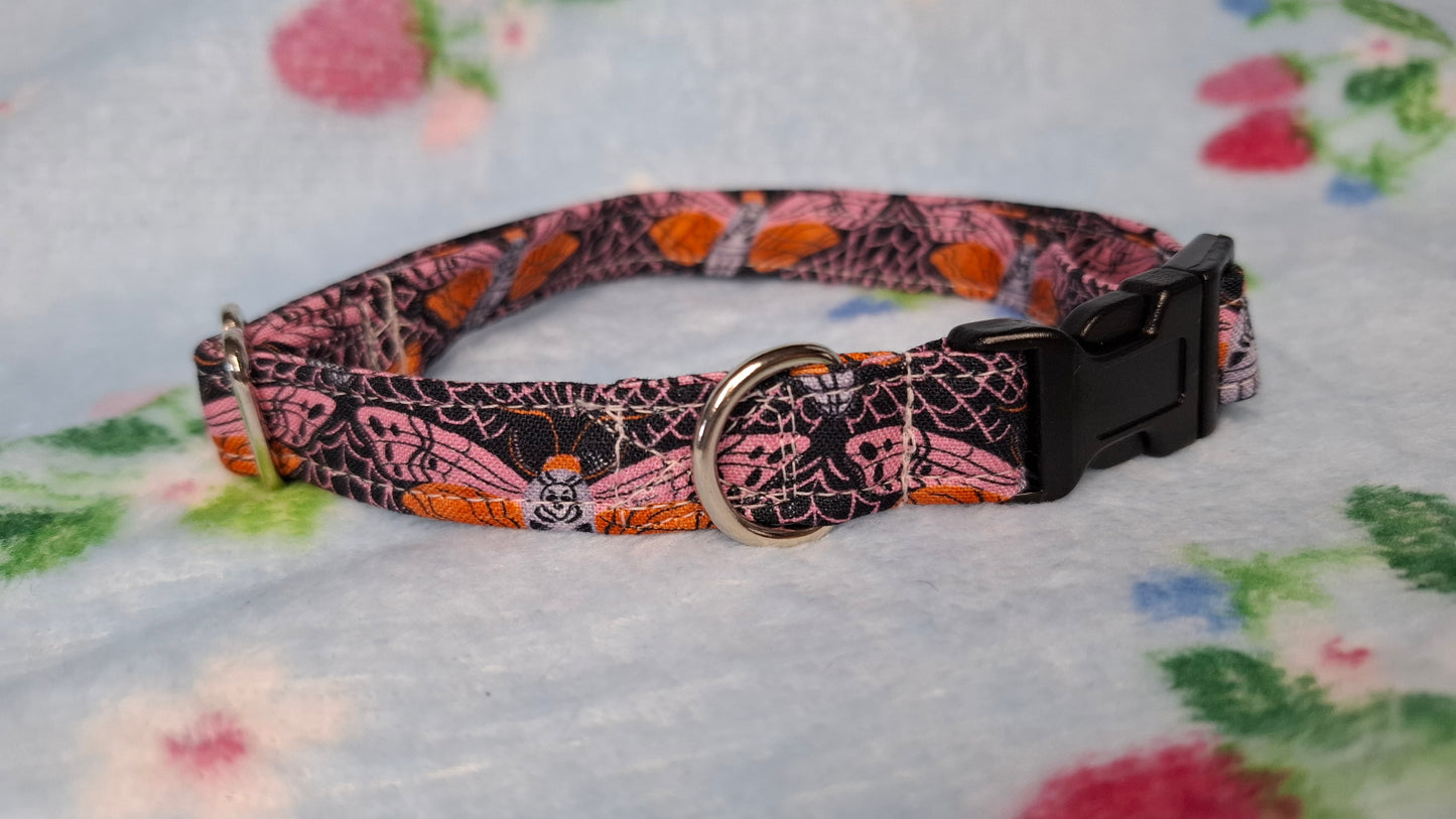 Pet Collars | Hawkmoth