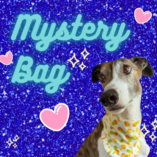 Mystery Bag | Houndies