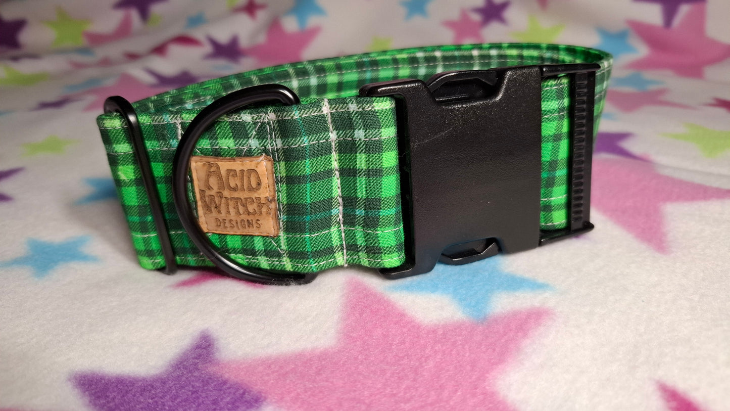 Green with Cheer | Pet Collection