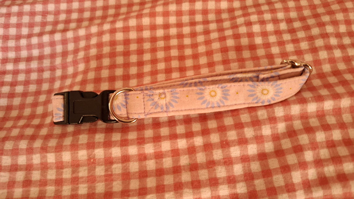 Medium Dog Collars | Sale