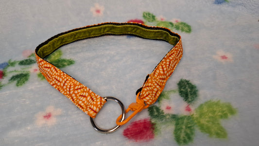 House Collar | Tangerine