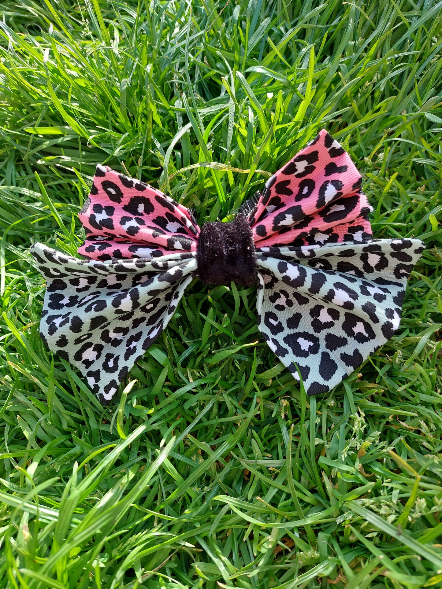 Pretty Bows | Various Styles