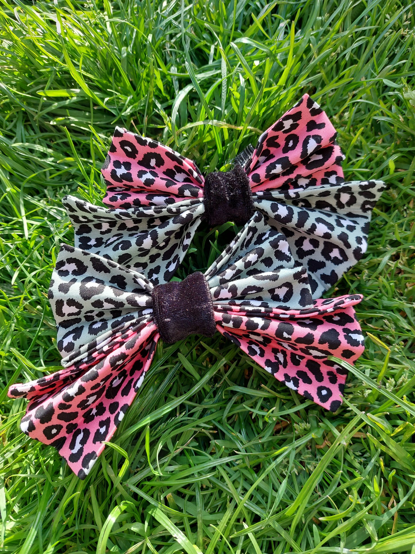 Pretty Bows | Various Styles