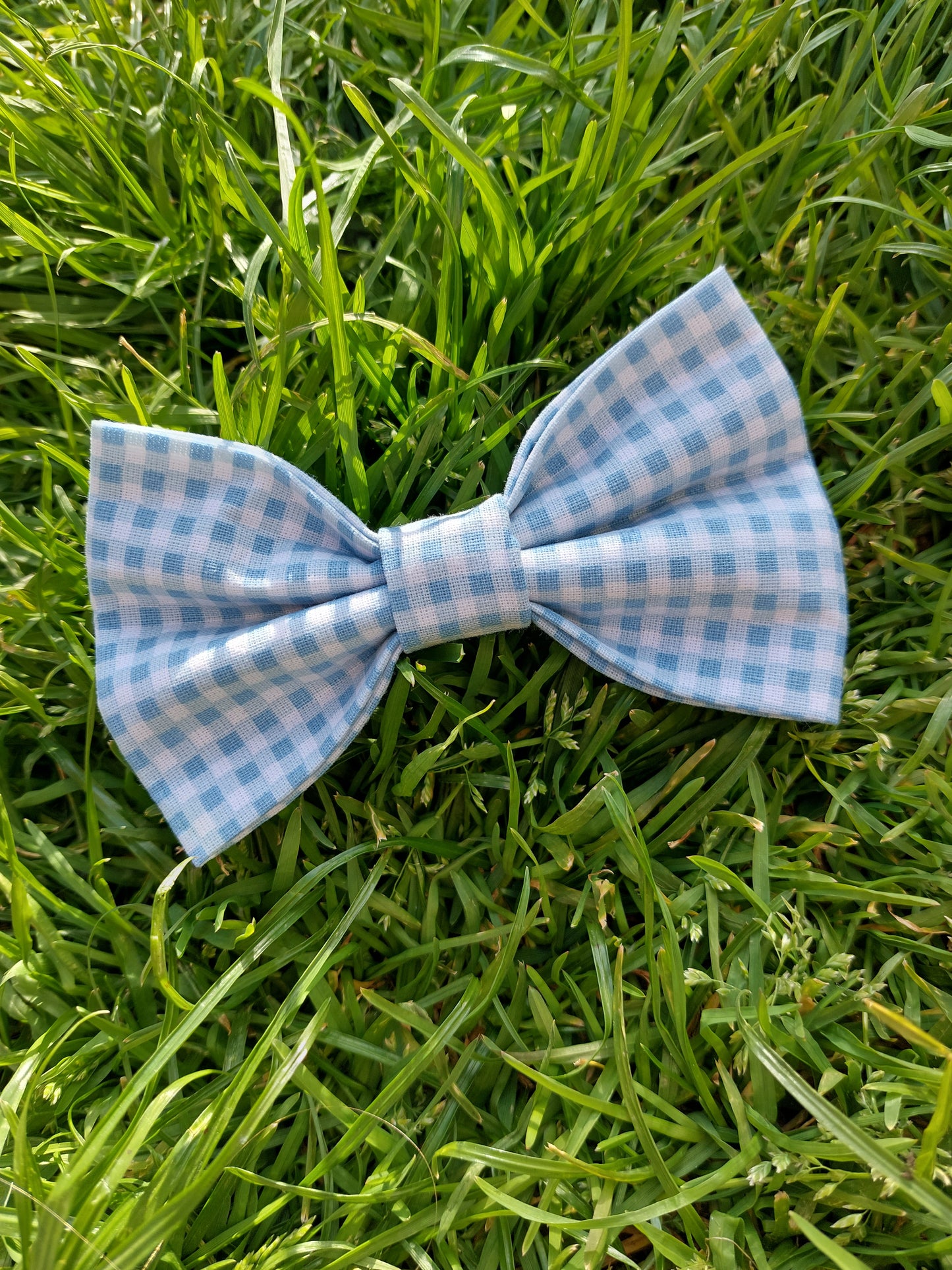 Dickie Bows | Various Styles