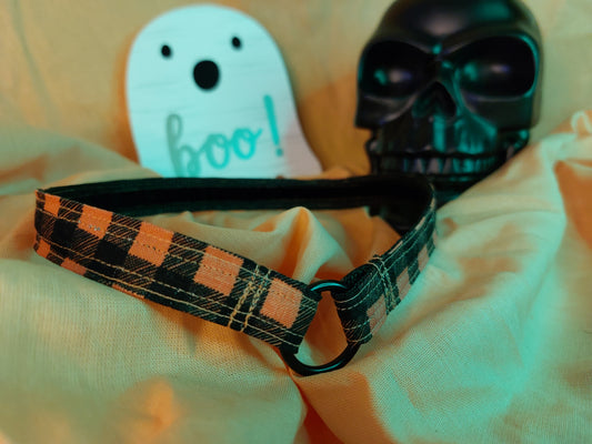 House Collar | Samhain Check