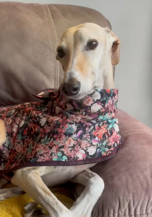 Hound Coat | Afternoon Tea